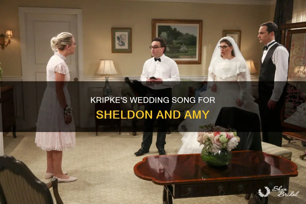 what song did kripke sing at sheldon and amy