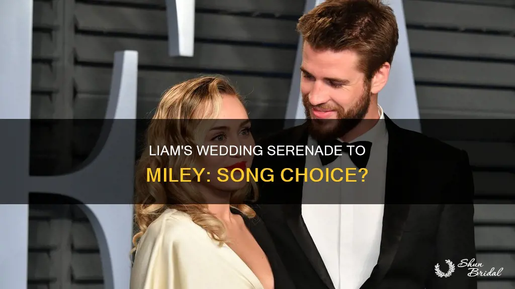 what song did liam dedicate to miley at their wedding