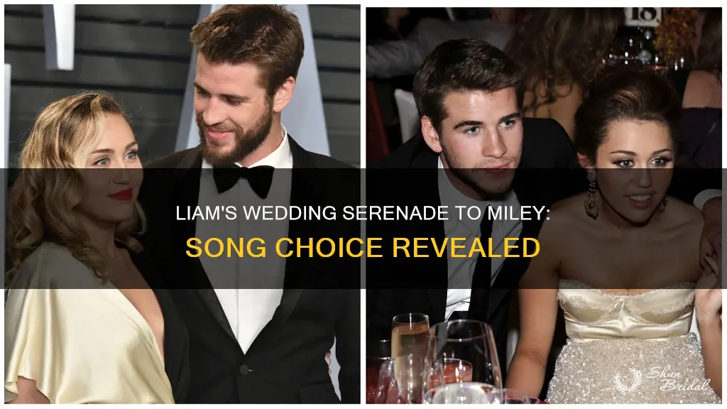 what song did liam hemsworth dedicate to miley at wedding