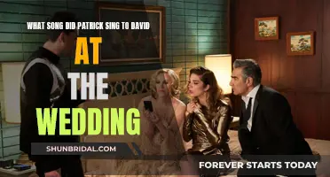 The Song of Love: Patrick's Wedding Serenade to David