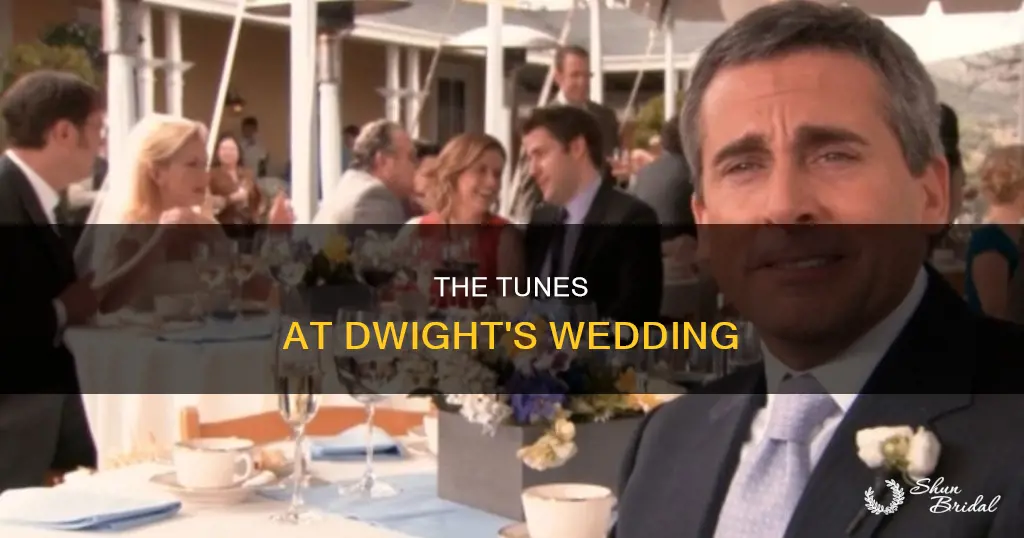 what song did they played at dwight wedding