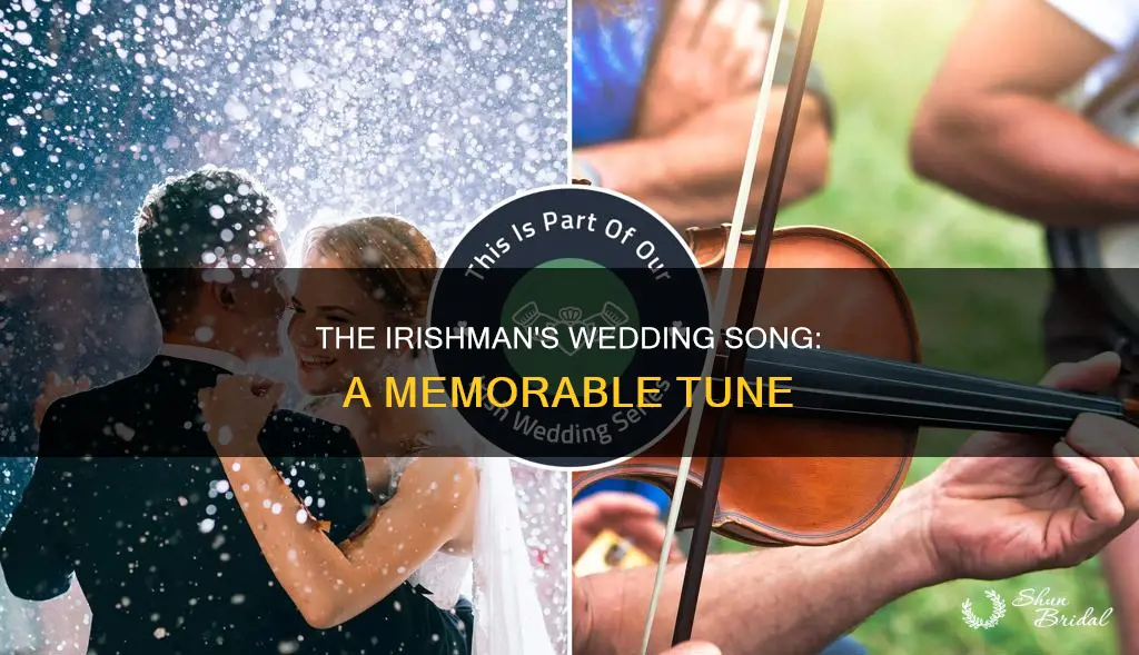 what song do they play during the wedding the irishman