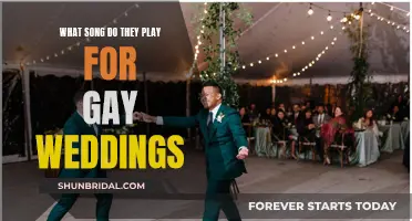 Gay Weddings: Songs to Celebrate Love and Equality
