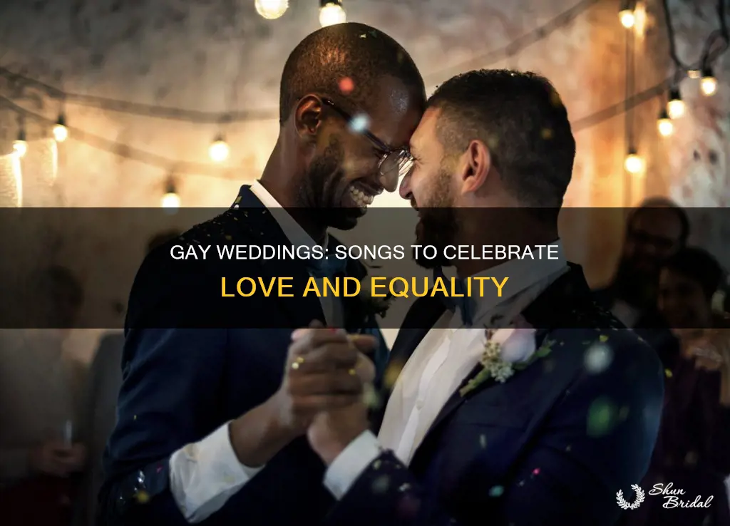 what song do they play for gay weddings