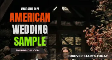 American Wedding Song Sample: The Original Track's Identity