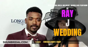 Anthony Hamilton's Soulful Serenade at Ray J's Wedding