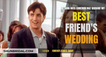 Cameron Diaz's karaoke song in My Best Friend's Wedding