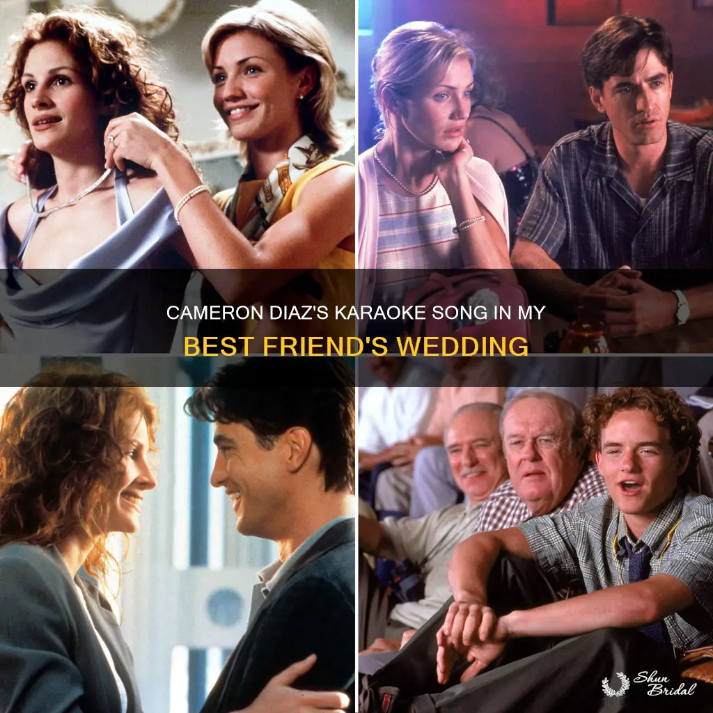 what song does cameron diaz karaoke my best friend