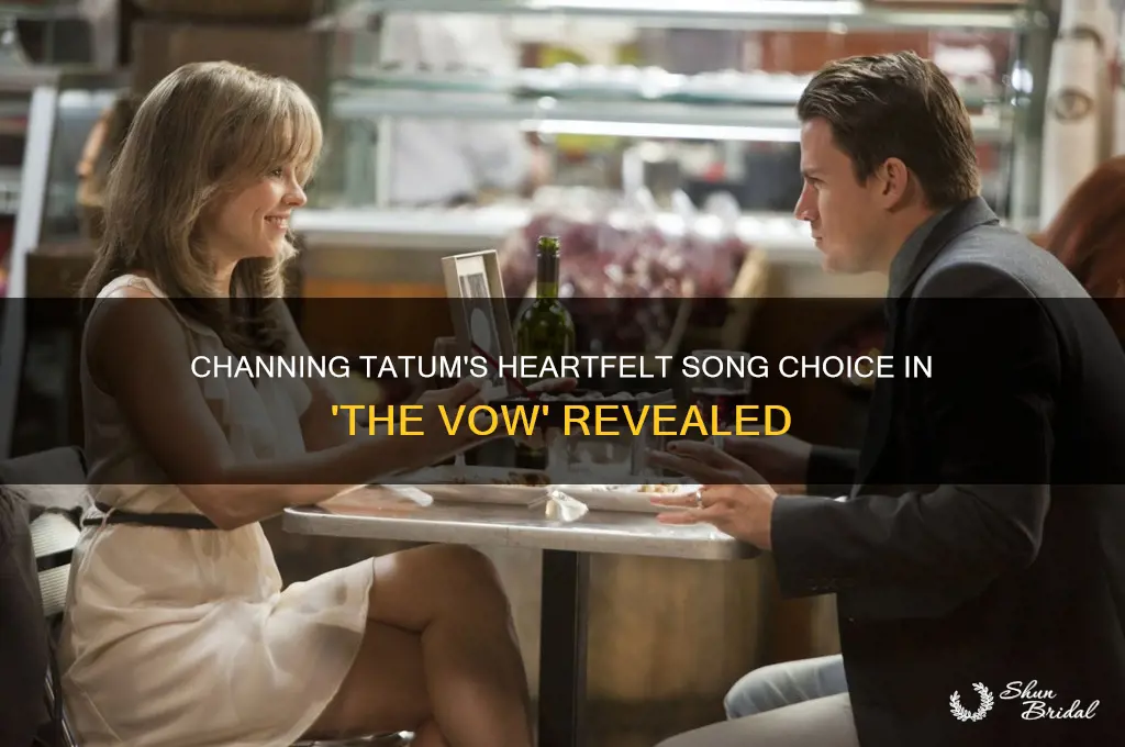 what song does channing tatum play in the vow