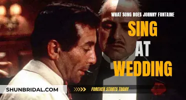 The Wedding Singer: Johnny Fontaine's Song Choice