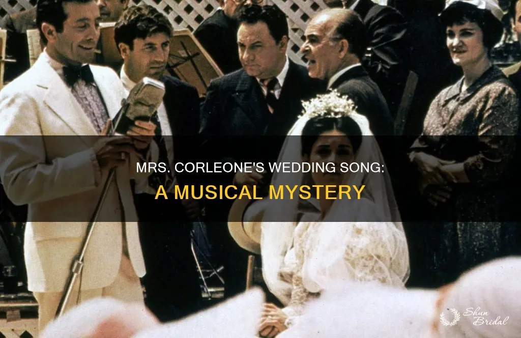what song does mrs corleone sing at the wedding
