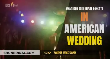Stifler's Dance Song in American Wedding: Title and Details