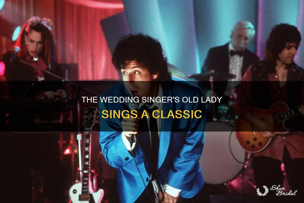 what song does the old lady sing in wedding singer