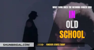 The Wedding Singer's Song Choice in Old School