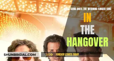 The Wedding Singer's Song in The Hangover