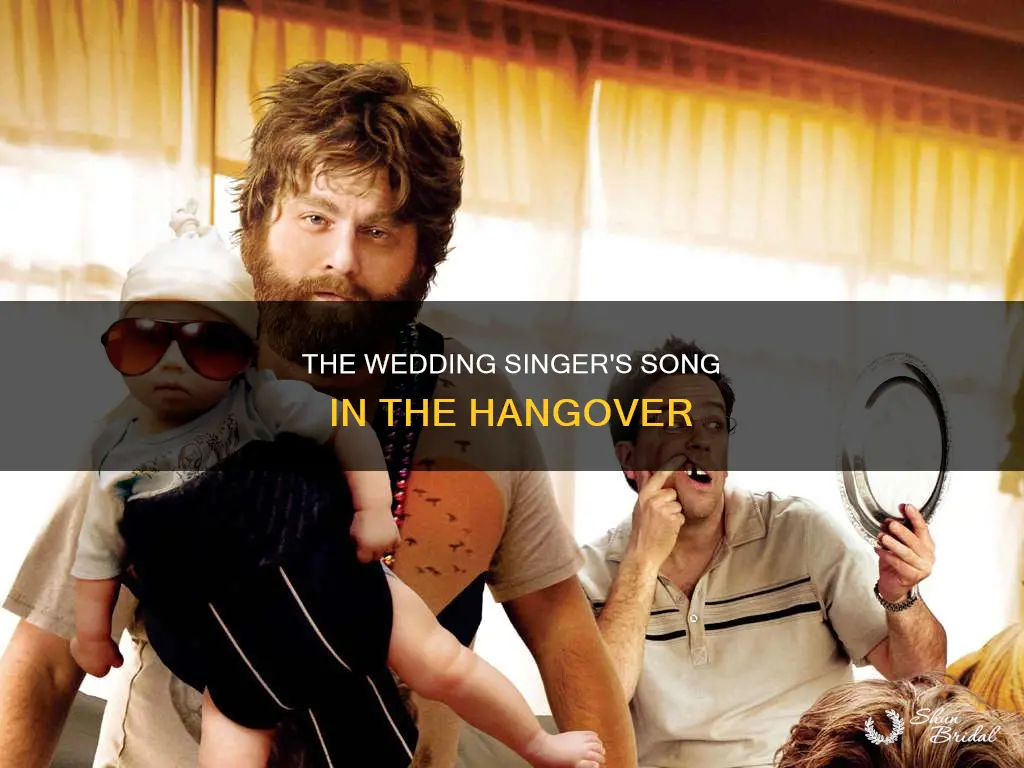 what song does the wedding singer sing in the hangover