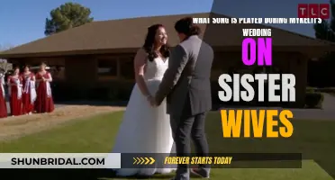 Sister Wives: Mykelti's Wedding Song Revealed