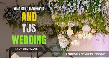 Wedding Song: Liz and TJ's Special Day
