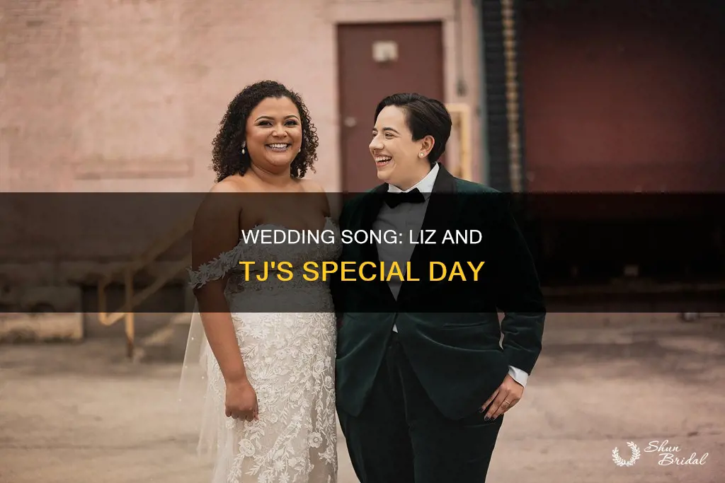 what song is playing at liz and tjs wedding