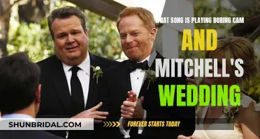 Cam and Mitchell's Wedding Song: A Memorable Tune