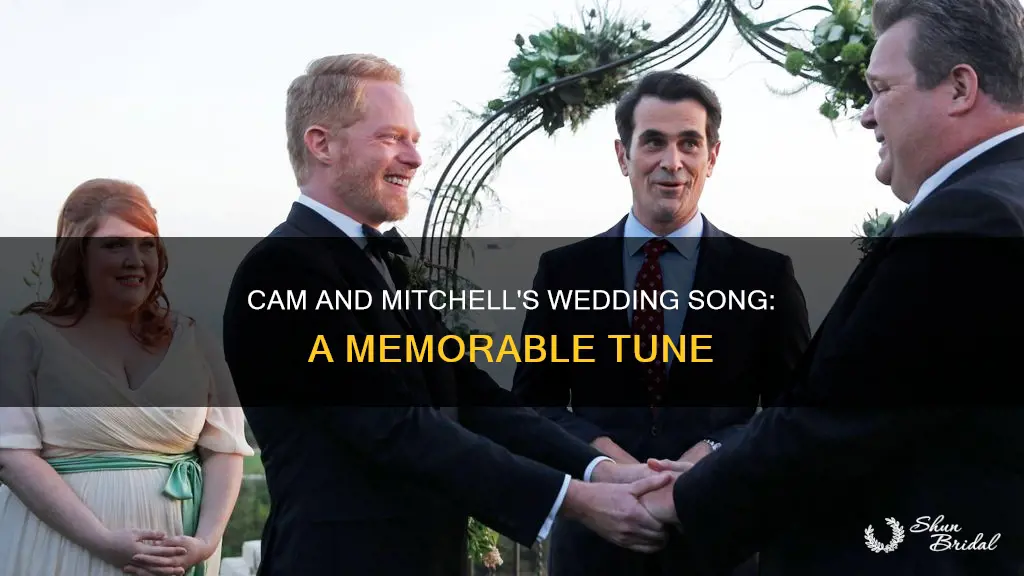 what song is playing during cam and mitchell