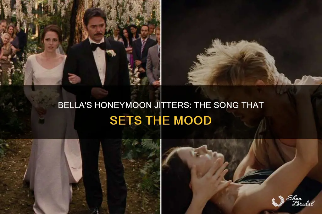 what song is playing when bella has honeymoon jitters