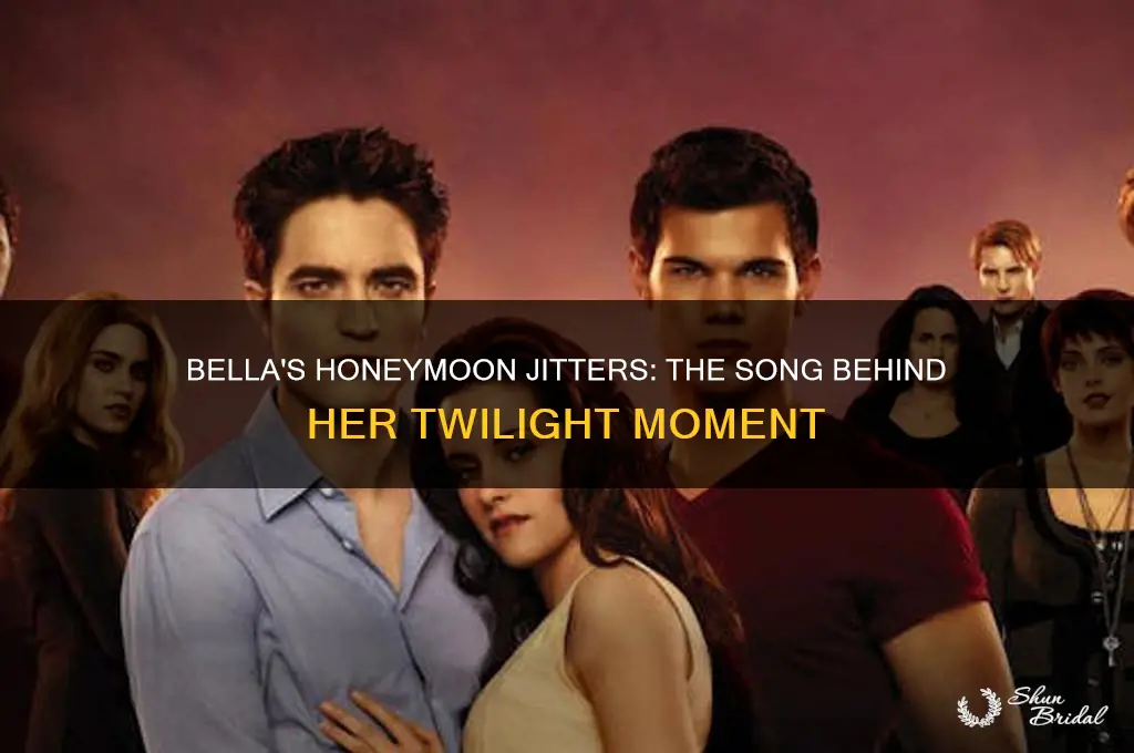 what song is playing when bella has honeymoon jitters