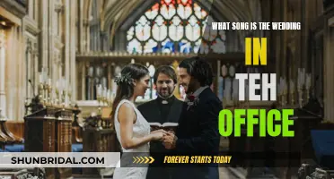 The Office Wedding Song: Tune for Jim and Pam's Nuptials