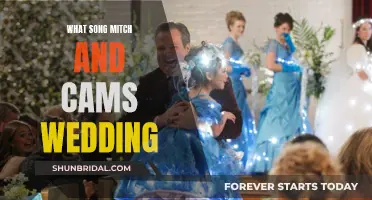 Mitch and Cam's Wedding Song: An Unforgettable Dance