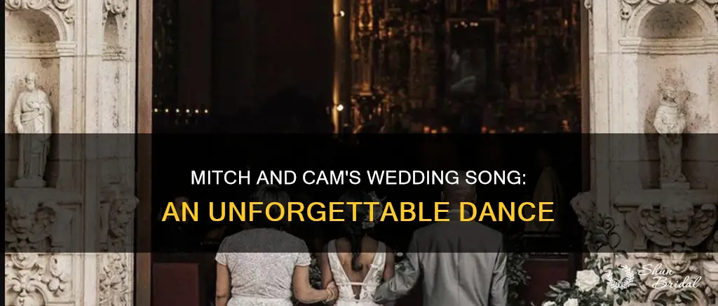 what song mitch and cams wedding