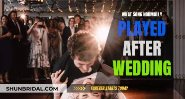 Post-Wedding Tunes: Songs for the Newlyweds