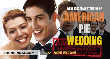 American Pie Wedding: What's the Song?