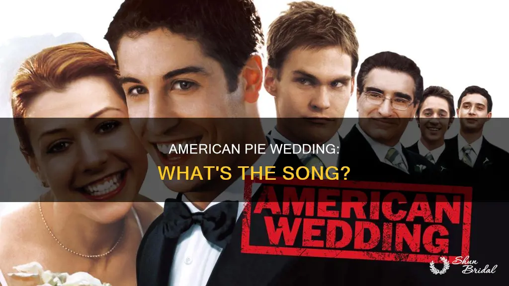 what song plays at the end of american pie wedding