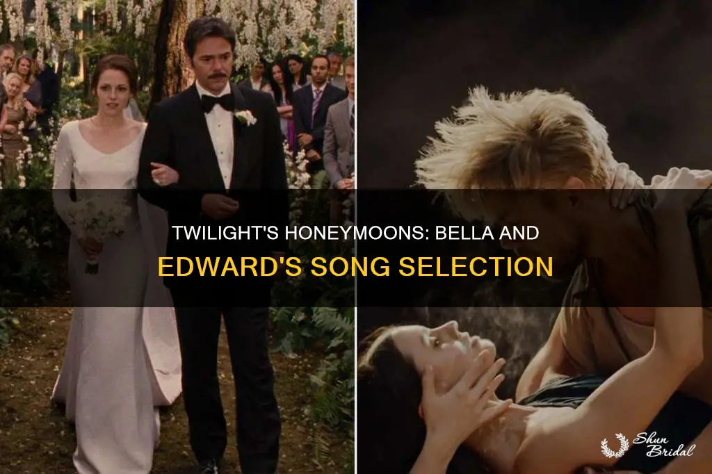 what song plays during bella and edward