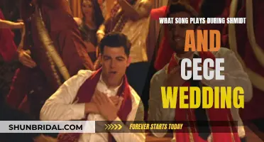 Schmidt and Cece's Wedding Song: Music Moment