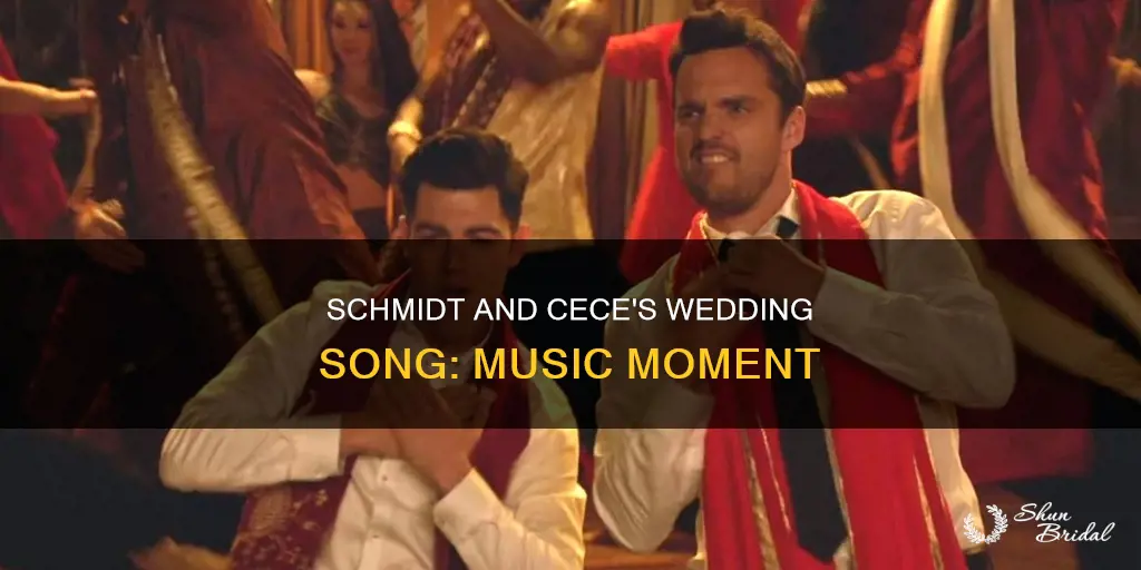 what song plays during shmidt and cece wedding