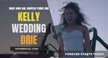 San Junipero Wedding: Yorkie and Kelly's Song