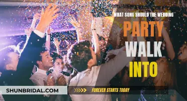 Choosing the Perfect Song for Your Wedding Party's Entrance