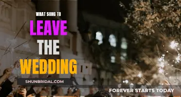 Leaving the Wedding: Songs to Serenade the Newlyweds