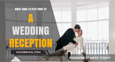 Wedding Reception Openers: Songs to Set the Mood