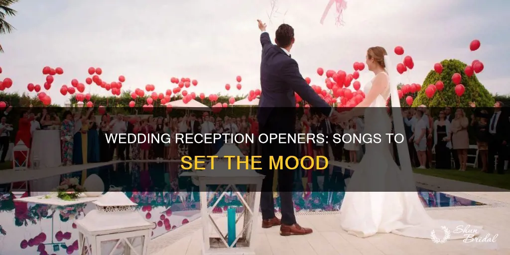 what song to play first at a wedding reception