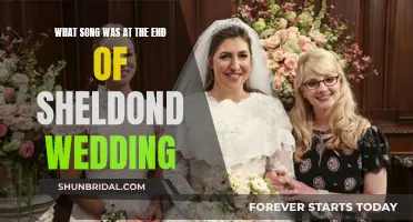 Sheldon and Amy's Wedding Song: A Musical Mystery