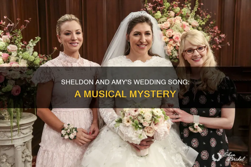 what song was at the end of sheldond wedding