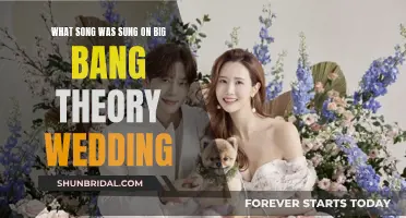 Big Bang Theory's Nuptial Tunes: Songs for a Wedding
