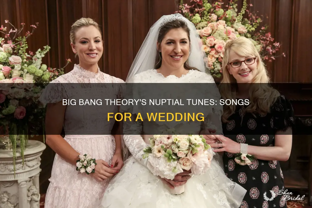 what song was sung on big bang theory wedding