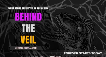 Behind the Veil Album: Unveiling the Complete Tracklist of Songs