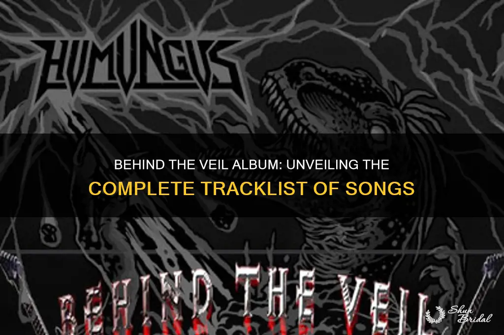 what songs are listed on the album behind the veil