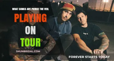 Pierce the Veil's Tour Setlist: Songs Fans Can Expect Live