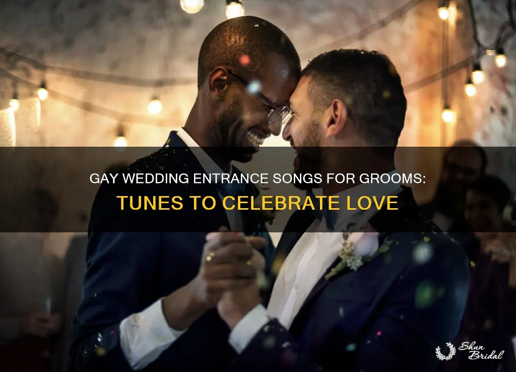 what songs shoudl grooms enter to at a gay wedding