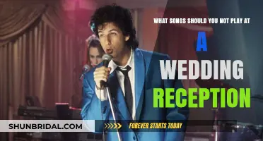 Songs to Avoid Playing at Your Wedding Reception